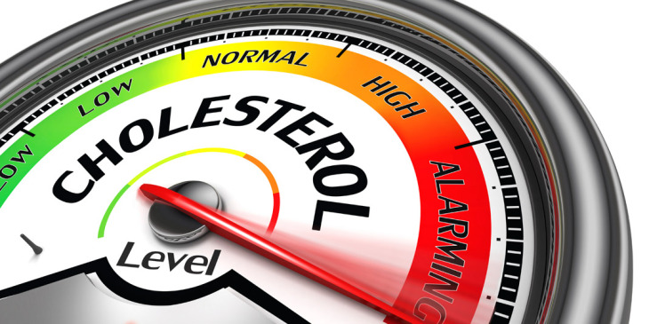 cholesterol level meter